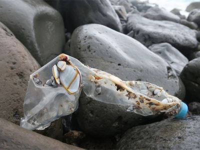 證明“海洋塑料”，需要遵循哪些標(biāo)準(zhǔn)？