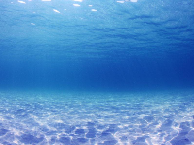 全球“限塑令”真的要來了！聯(lián)合國環(huán)境大會通過“限塑令”草案