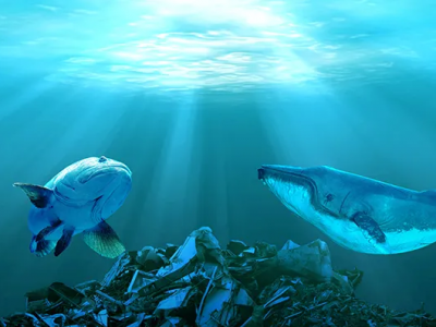 巴斯夫、SABIC、埃萬(wàn)特多舉措助力海洋塑料回收再利用